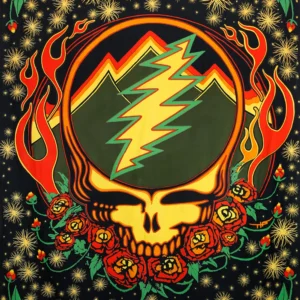 3D Grateful Dead Scarlet Fire SYF Tapestry
