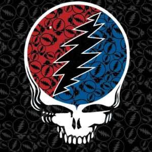 72109-Grateful Dead Steal Your Face