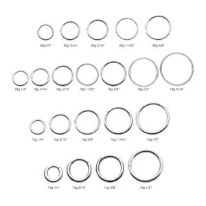 Alternative view of Surgical Steel Basic Hinged Segment Ring