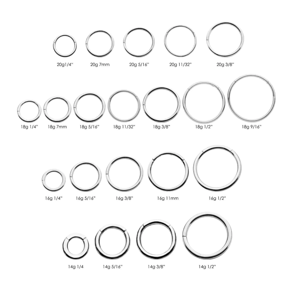 Surgical Steel Basic Hinged Segment Ring - Image 2