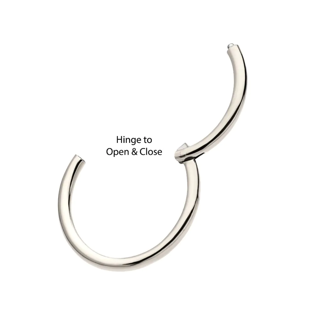 Surgical Steel Basic Hinged Segment Ring - Image 3