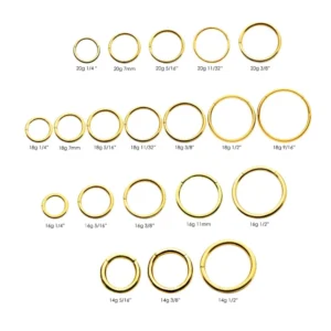 Alternative view of Gold PVD Basic Hinged Segment Ring