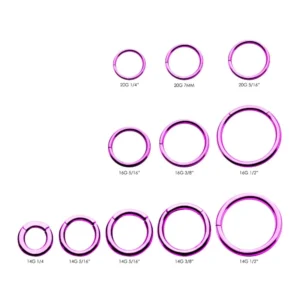 Alternative view of Purple PVD Steel Hinged Segment Rings