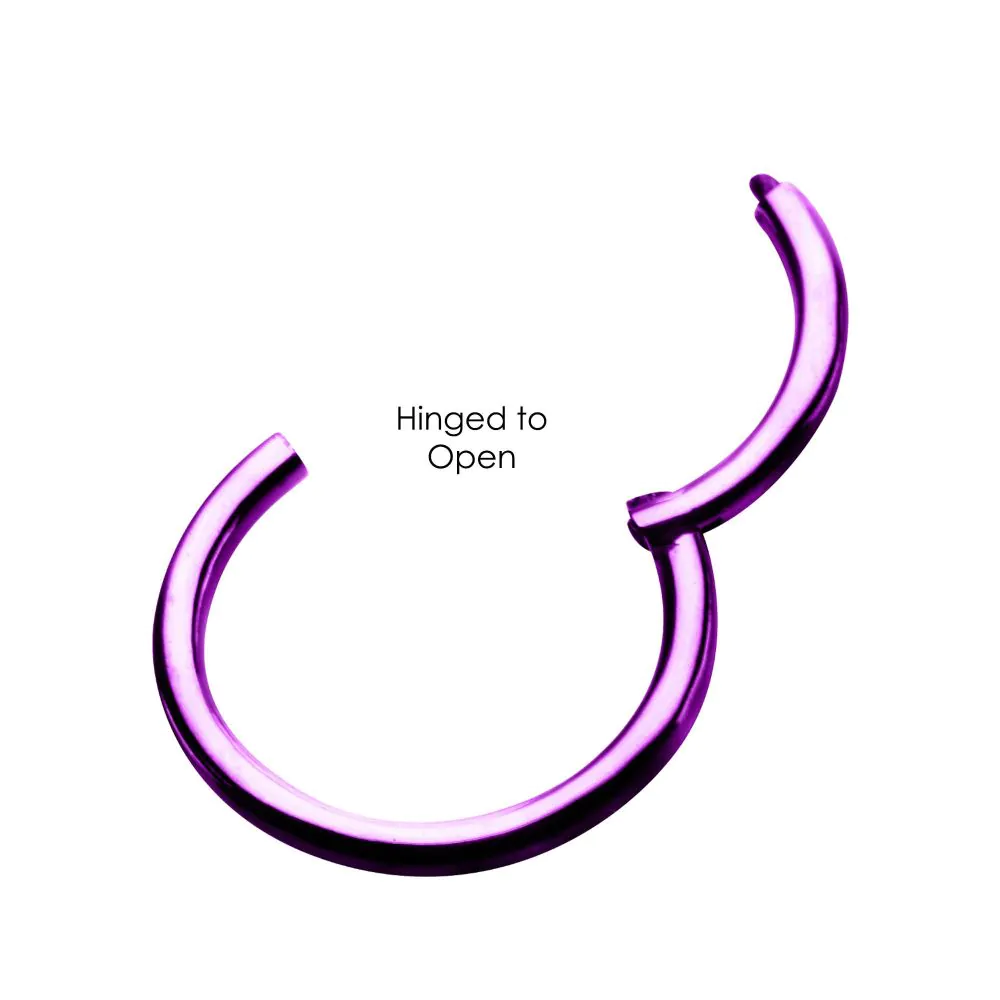 Purple PVD Steel Hinged Segment Rings - Image 3