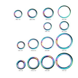 Alternative view of Rainbow PVD Steel Hinged Segment Rings