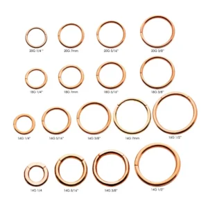 Alternative view of Rose Gold PVD Hinged Segment Rings